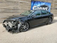 4T1T11BK1PU090711 2023 TOYOTA CAMRY