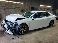 4T1T11BK3PU097286 2023 TOYOTA CAMRY