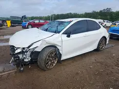 4T1T11BK3PU107699 2023 TOYOTA CAMRY