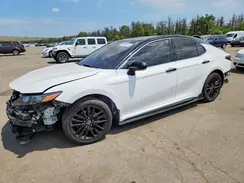 4T1T11BK5PU079100 2023 TOYOTA CAMRY