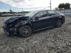 4T1T11BK6PU090896 2023 TOYOTA CAMRY