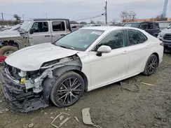 4T1T11BK6PU099727 2023 TOYOTA CAMRY