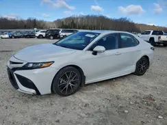 4T1T11BK7PU093354 2023 TOYOTA CAMRY