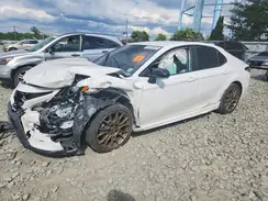 4T1T11BK8RU130236 2024 TOYOTA CAMRY