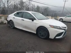 4T1T11BK9MU033412 2021 TOYOTA CAMRY