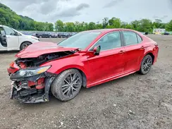 4T1T11BKXMU021916 2021 TOYOTA CAMRY