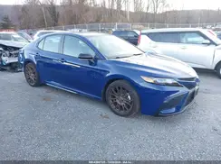 4T1T11BKXPU073423 2023 TOYOTA CAMRY