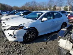 4T1T11BKXPU088066 2023 TOYOTA CAMRY