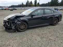 4T1T31AK5PU050871 2023 TOYOTA CAMRY