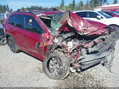 4T3B6RFV1PU125464 2023 TOYOTA RAV 4