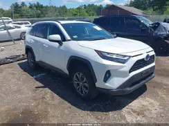 4T3B6RFV1RU150013 2024 TOYOTA RAV 4