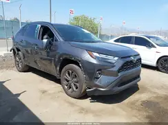 4T3B6RFV1RU158404 2024 TOYOTA RAV 4