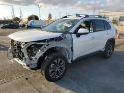 4T3B6RFV1RU159603 2024 TOYOTA RAV 4