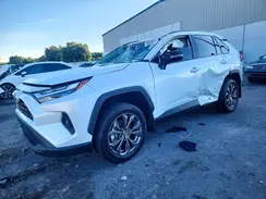 4T3B6RFV1RU162050 2024 TOYOTA RAV 4