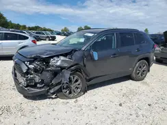 4T3B6RFV1RU172660 2024 TOYOTA RAV 4