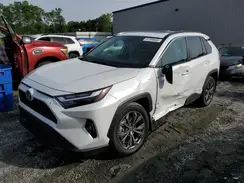 4T3B6RFV1RU174487 2024 TOYOTA RAV 4