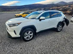 4T3B6RFV2MU008133 2021 TOYOTA RAV 4