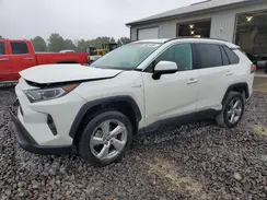 4T3B6RFV2MU017561 2021 TOYOTA RAV 4