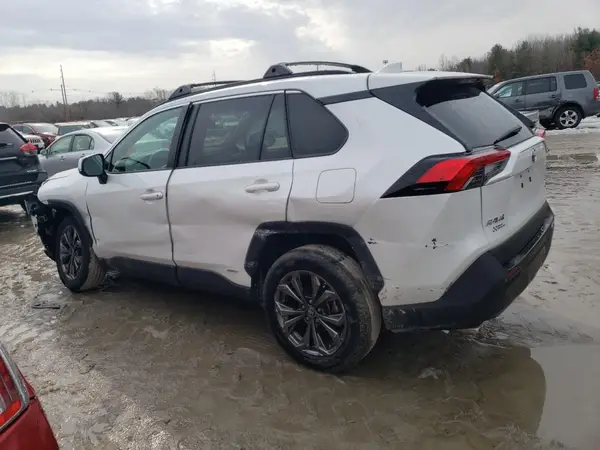 4T3B6RFV2PU118880 2023 TOYOTA RAV 4 - Image 2