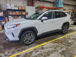 4T3B6RFV2RU152904 2024 TOYOTA RAV 4