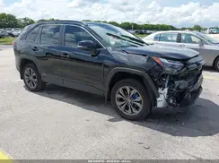 4T3B6RFV2RU161117 2024 TOYOTA RAV 4