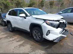 4T3B6RFV2RU168875 2024 TOYOTA RAV 4