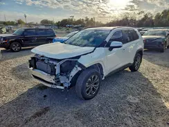 4T3B6RFV2RU175146 2024 TOYOTA RAV 4