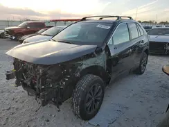 4T3B6RFV2SU178201 2025 TOYOTA RAV 4