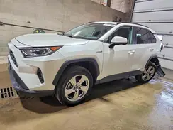 4T3B6RFV3MU015575 2021 TOYOTA RAV 4