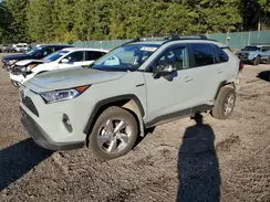 4T3B6RFV3MU037768 2021 TOYOTA RAV 4