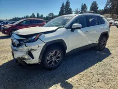 4T3B6RFV3NU095428 2022 TOYOTA RAV 4