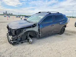 4T3B6RFV3RU151132 2024 TOYOTA RAV 4
