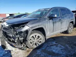 4T3B6RFV3SU186825 2025 TOYOTA RAV 4