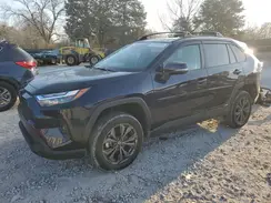 4T3B6RFV4PU128455 2023 TOYOTA RAV 4