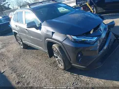 4T3B6RFV4RU146232 2024 TOYOTA RAV 4