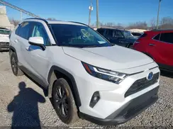 4T3B6RFV4RU156842 2024 TOYOTA RAV 4