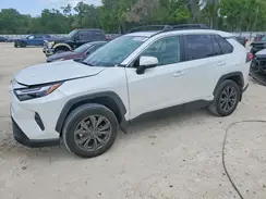 4T3B6RFV4RU157246 2024 TOYOTA RAV 4