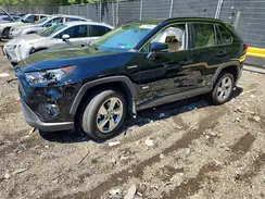 4T3B6RFV5MU026397 2021 TOYOTA RAV 4
