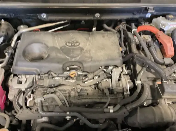 4T3B6RFV5MU032541 2021 TOYOTA RAV 4 - Image 1