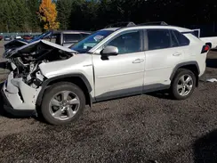 4T3B6RFV5MU038582 2021 TOYOTA RAV 4