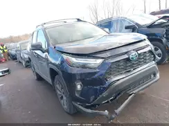 4T3B6RFV5PU124995 2023 TOYOTA RAV 4