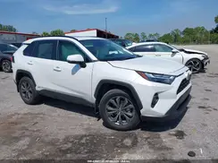 4T3B6RFV5RU145204 2024 TOYOTA RAV 4