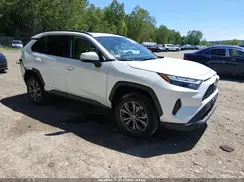 4T3B6RFV5RU146448 2024 TOYOTA RAV 4