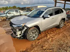4T3B6RFV5RU149009 2024 TOYOTA RAV 4