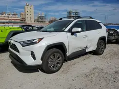 4T3B6RFV5RU159264 2024 TOYOTA RAV 4