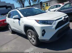 4T3B6RFV6MU032323 2021 TOYOTA RAV 4