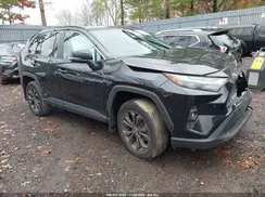 4T3B6RFV6PU108482 2023 TOYOTA RAV 4