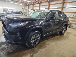 4T3B6RFV6PU122317 2023 TOYOTA RAV 4