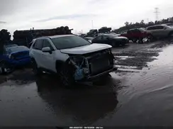 4T3B6RFV6RU152002 2024 TOYOTA RAV 4