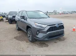 4T3B6RFV8NU081069 2022 TOYOTA RAV 4
